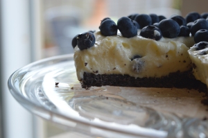 Blueberry cheesecake (4)